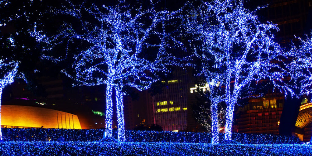Outdoor Lights Ideas_Cover Your Trees like Christmas