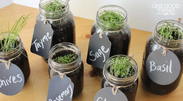 Grow Your Own Herbs in Mason Jars DIY