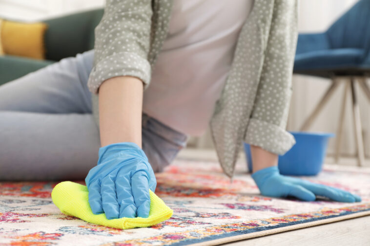 Carpet Cleaning DIY vs Professional