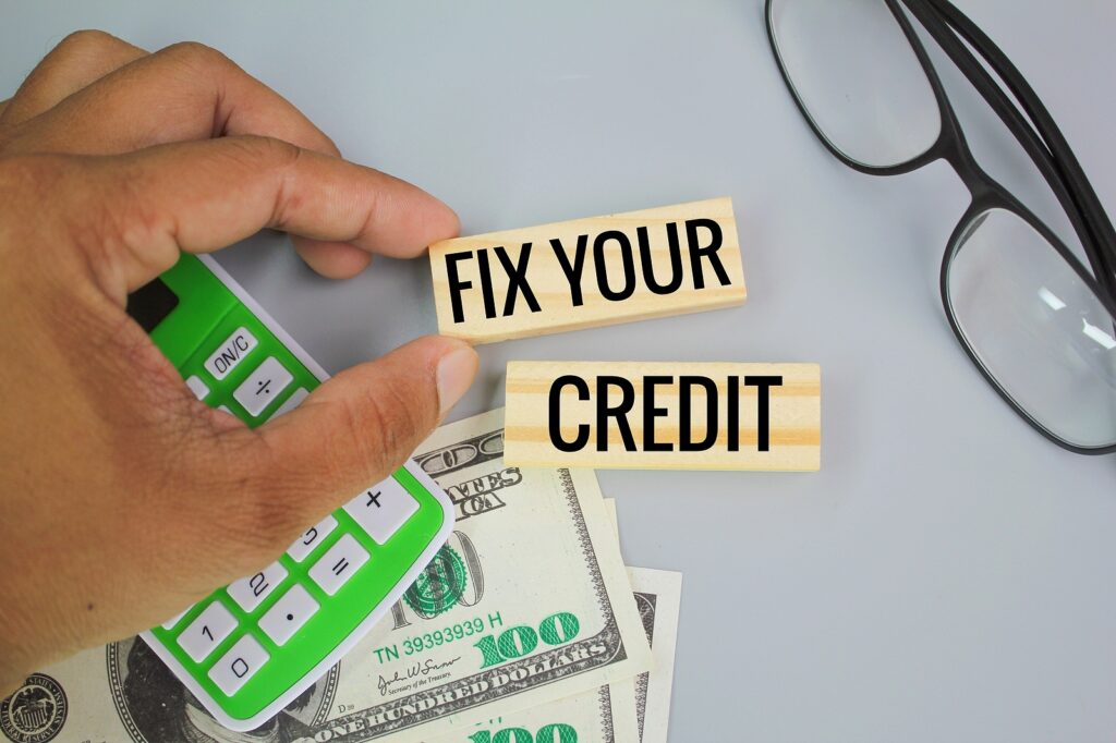 DIY Credit Repair Software